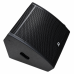 AD Delta 12CMA Professional Active Coaxial Stage Monitor