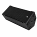 AD Delta C210A Professional Dual 10-Inch Powered Speaker