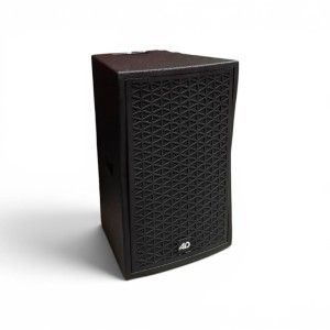 AD Legacy 110AF 10" Active 2-Way Professional PA Speaker