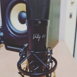 AD VINTAGE 87 CONDENSER RECORDING MIC 