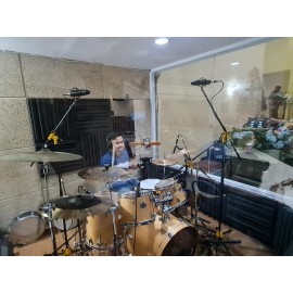 AD VINTAGE 87 CONDENSER RECORDING MIC 