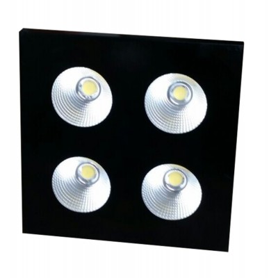 WEINAS COB BLINDER 4S